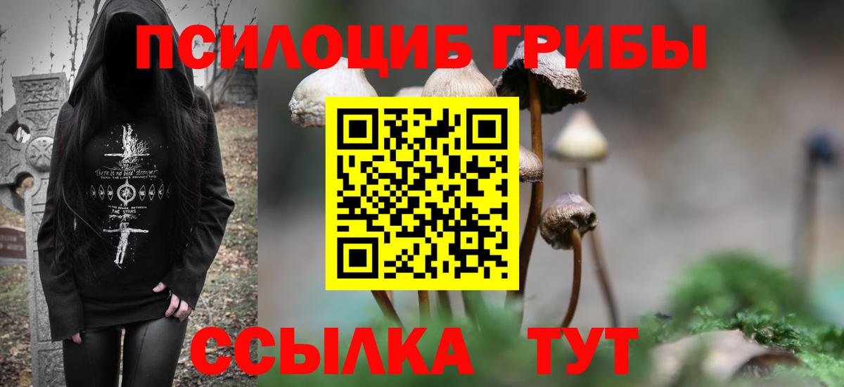 Георгиевск  Галлюциногенные грибы Magic Shrooms  Вход с VPN 