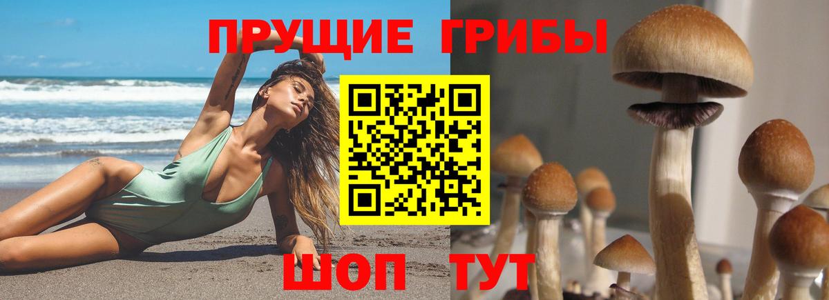 Галлюциногенные грибы GOLDEN TEACHER Георгиевск